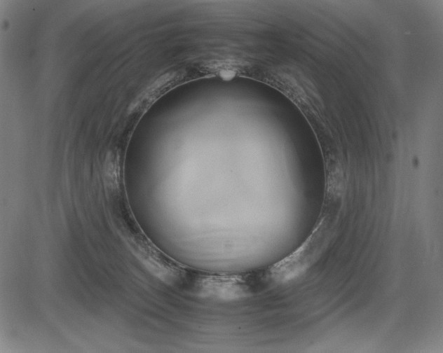 X0000083620179200702121149