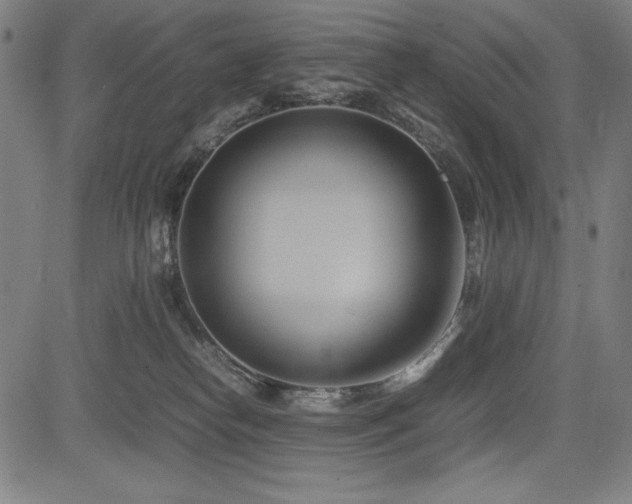 X0000083620182200702121149