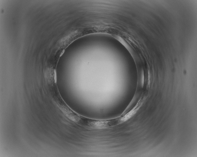 X0000083620184200702121149
