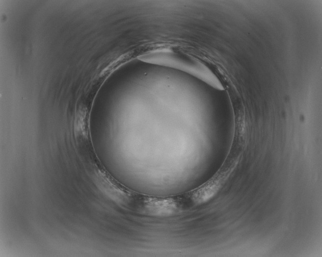 X0000083620185200702121150