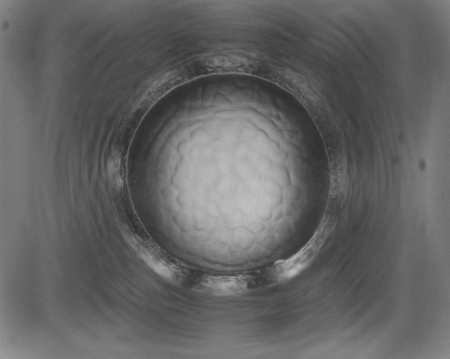 X0000083620187200702121150