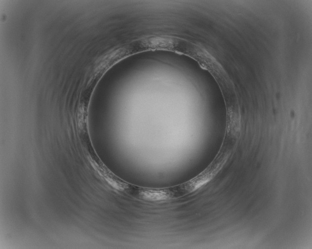 X0000083620189200702121150