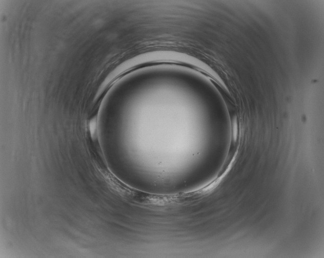 X0000083620190200702121150