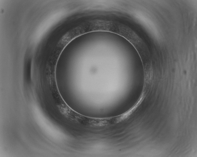 X0000083620191200702121150