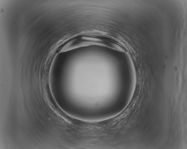 X0000083620193200702121149