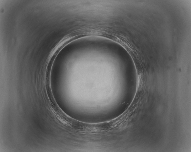 X0000083620195200702121149