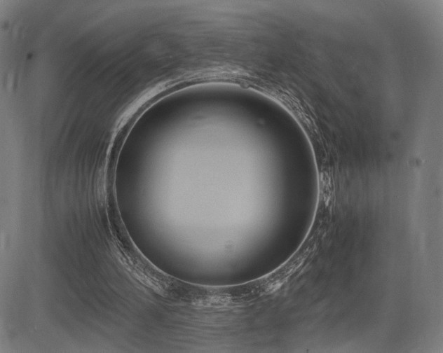 X0000083620196200702121149