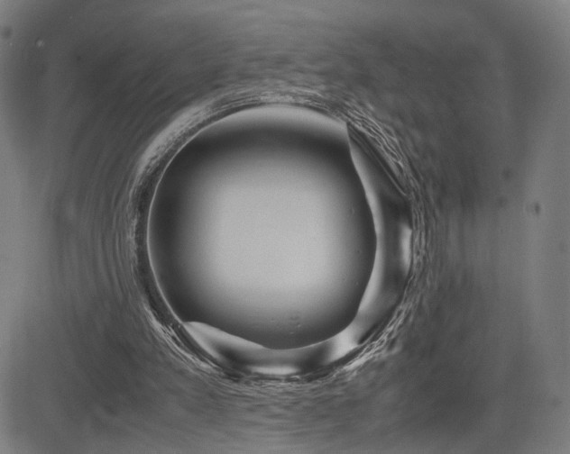 X0000083620197200702121149