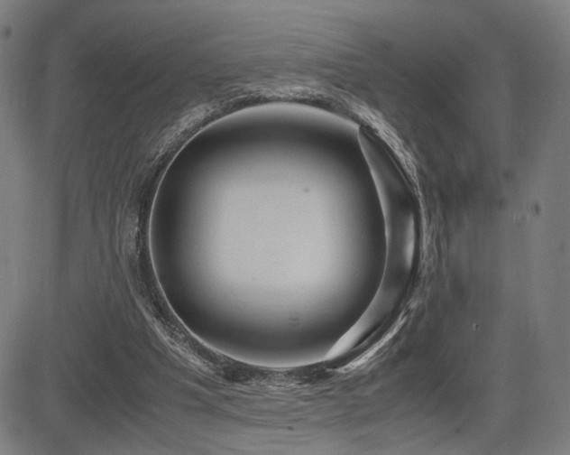 X0000083620201200702121149