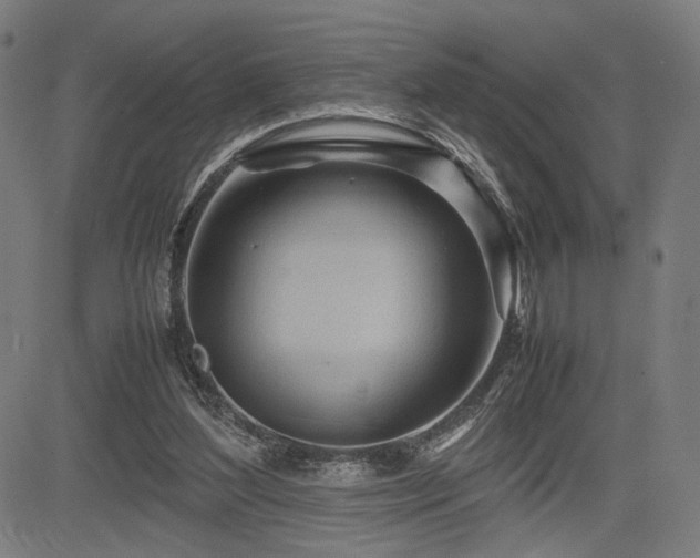 X0000083620204200702121149