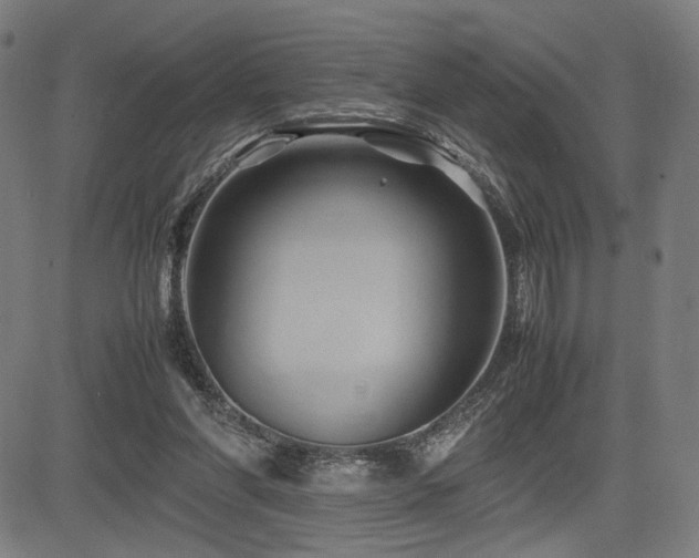X0000083620206200702121149