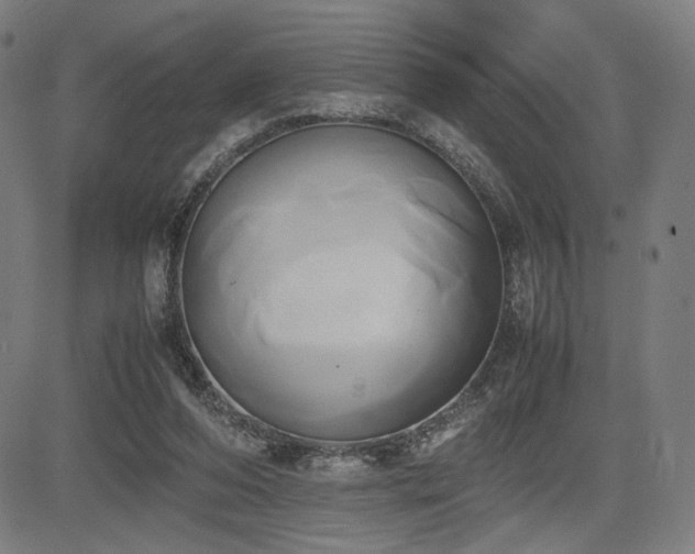 X0000083620208200702121149