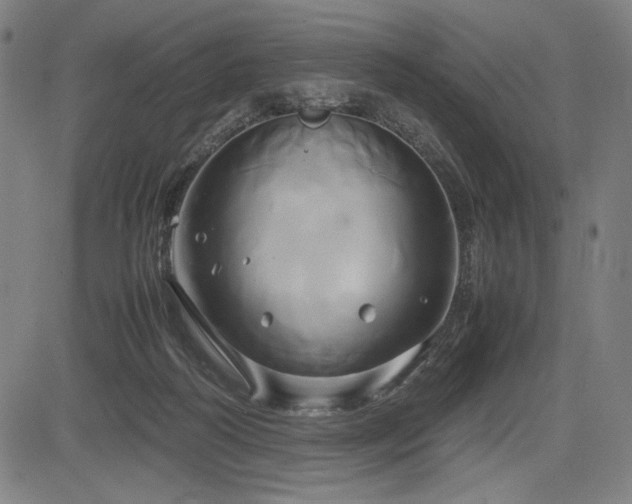 X0000083620218200702121148
