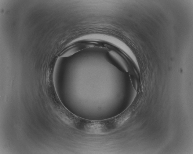 X0000083620219200702121148