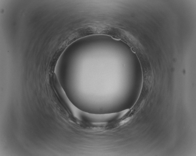 X0000083620221200702121148