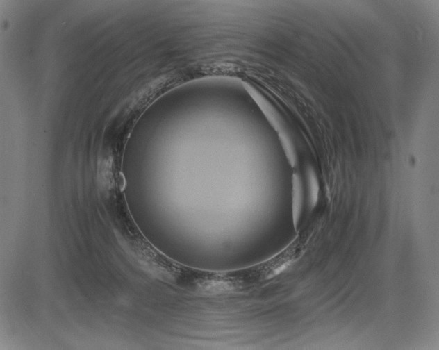 X0000083620224200702121148