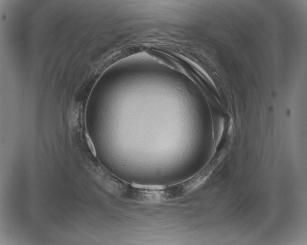 X0000083620233200702121148
