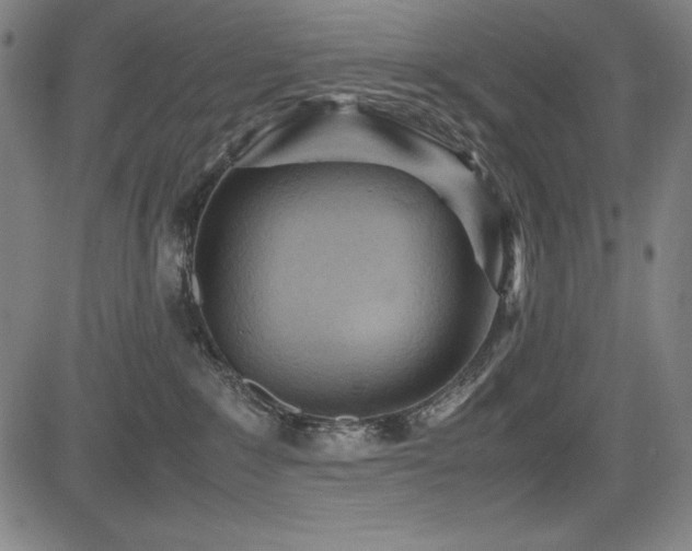 X0000083620235200702121148