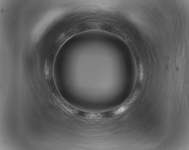 X0000083620239200702121148