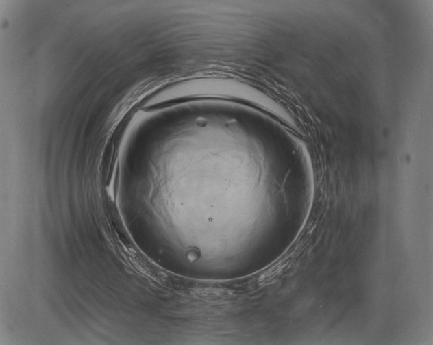 X0000083620242200702121147