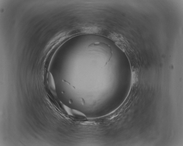 X0000083620243200702121147