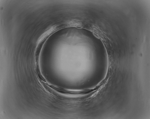 X0000083620245200702121147