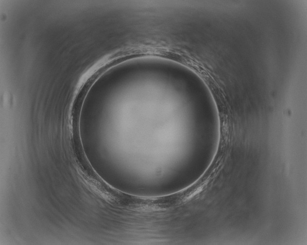 X0000083620246200702121147