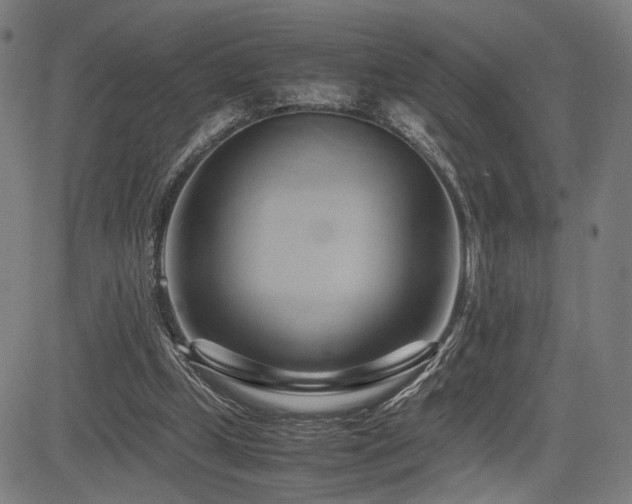 X0000083620249200702121147