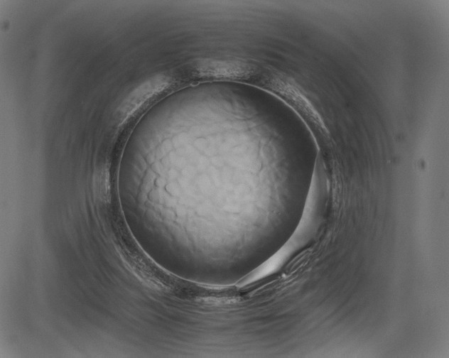 X0000083620251200702121147