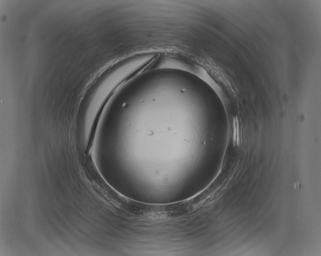 X0000083620252200702121147