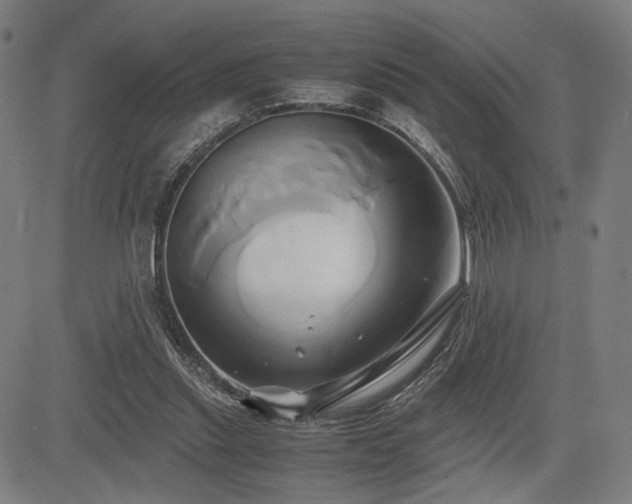 X0000083620253200702121147
