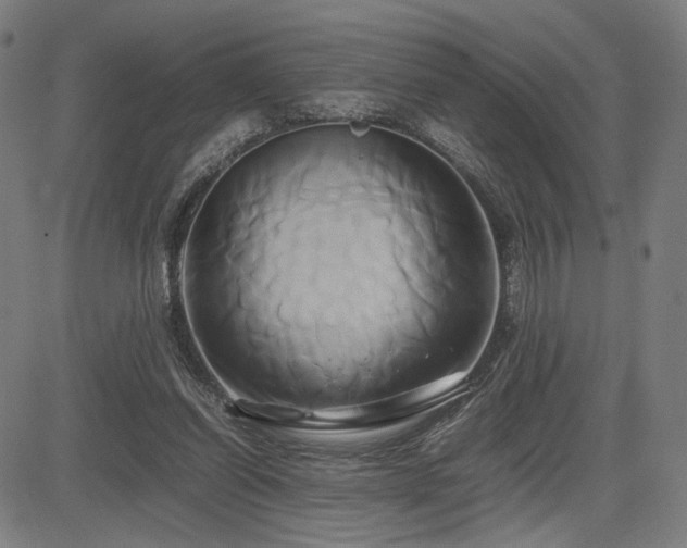 X0000083620254200702121147