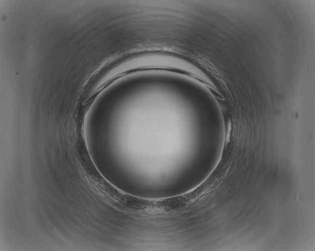 X0000083620256200702121148