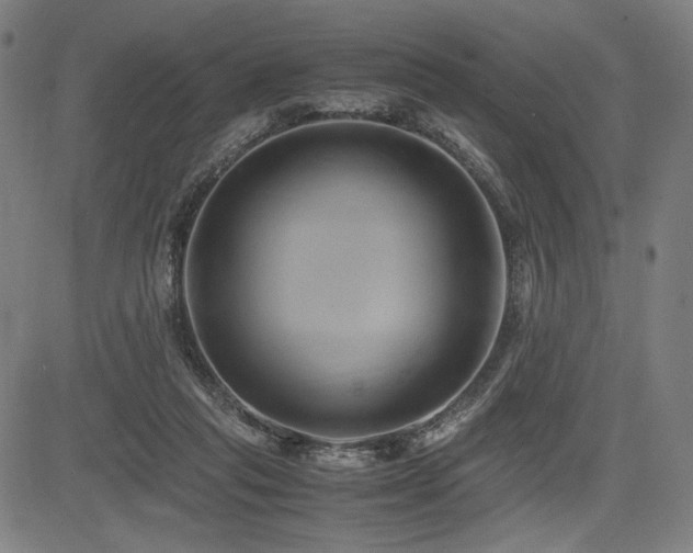 X0000083620261200702121148