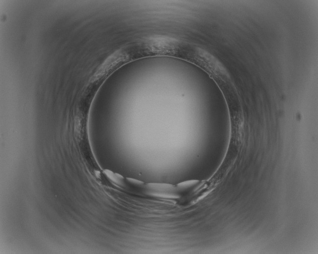 X0000083620266200702121148
