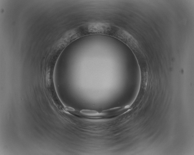 X0000083620267200702121148
