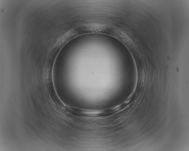 X0000083620268200702121148