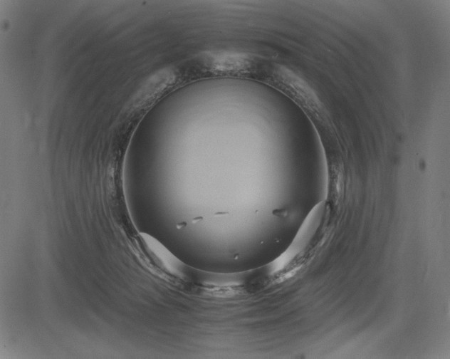 X0000083620269200702121148