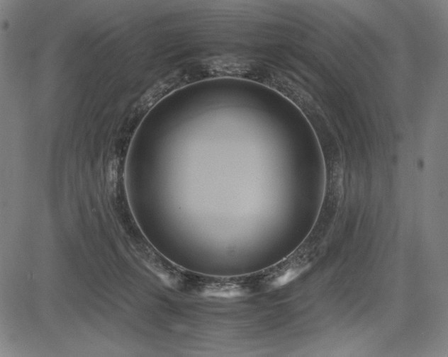X0000083620271200702121148