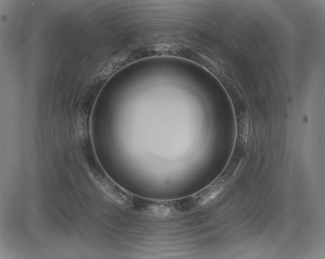 X0000083620272200702121148