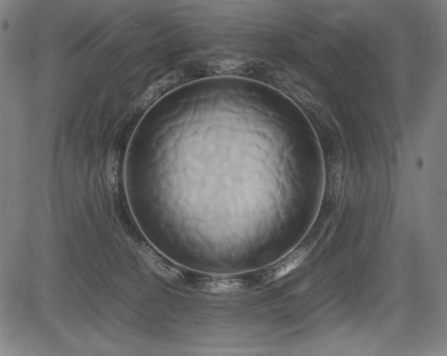 X0000083620274200702121148