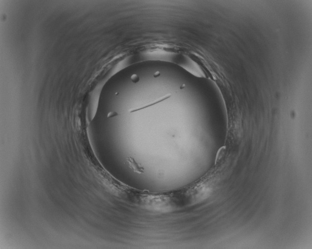 X0000083620277200702121148