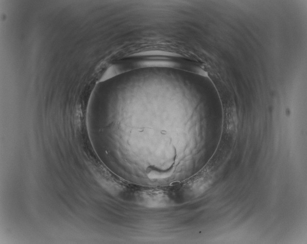 X0000083620279200702121148