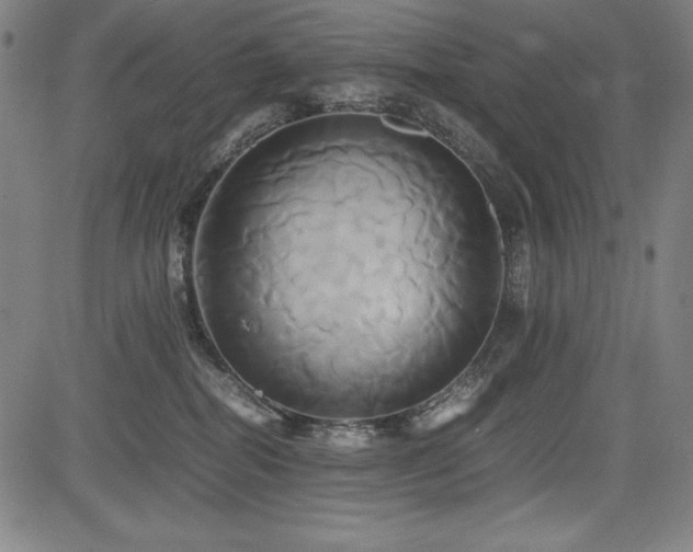 X0000083620282200702121148