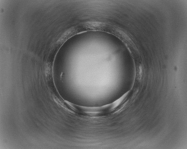 X0000083620284200702121148