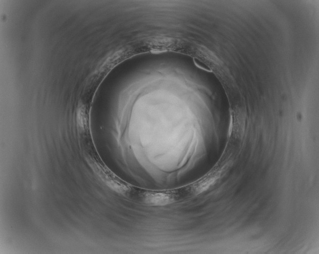 X0000083620287200702121148