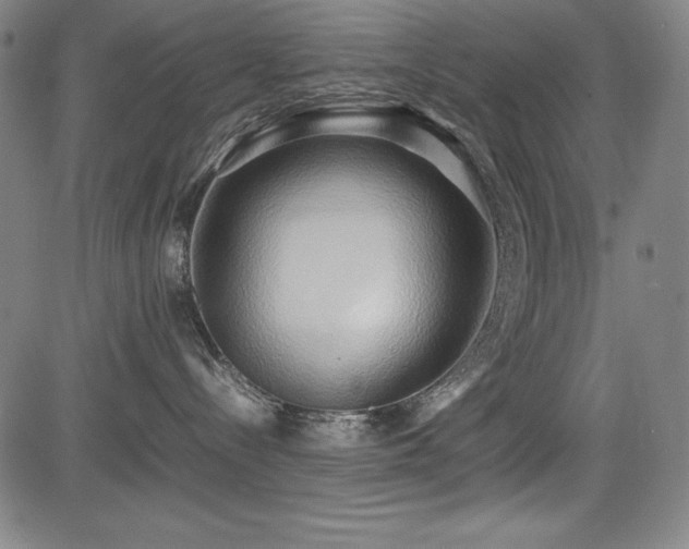 X0000083620288200702121148