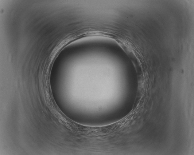 X0000083620289200702121147