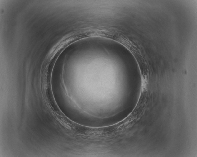X0000083620291200702121147