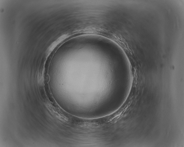 X0000083620292200702121147